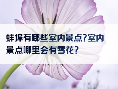 蚌埠有哪些室内景点？室内景点哪里会有雪花？