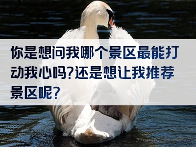 你是想问我哪个景区最能打动我心吗？还是想让我推荐景区呢？