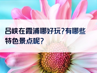 吕峡在霞浦哪好玩？有哪些特色景点呢？