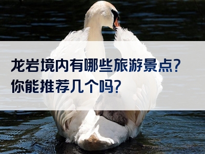 龙岩境内有哪些旅游景点？你能推荐几个吗？