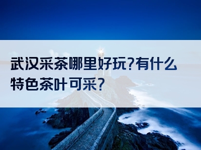 武汉采茶哪里好玩？有什么特色茶叶可采？