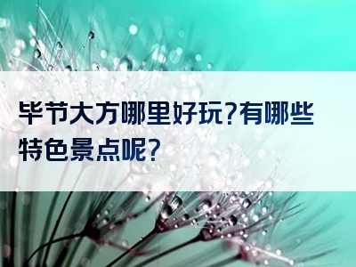 毕节大方哪里好玩？有哪些特色景点呢？