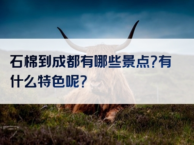 石棉到成都有哪些景点？有什么特色呢？