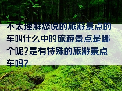 不太理解您说的旅游景点的车叫什么中的旅游景点是哪个呢？是有特殊的旅游景点车吗？