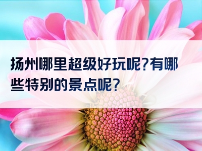 扬州哪里超级好玩呢？有哪些特别的景点呢？