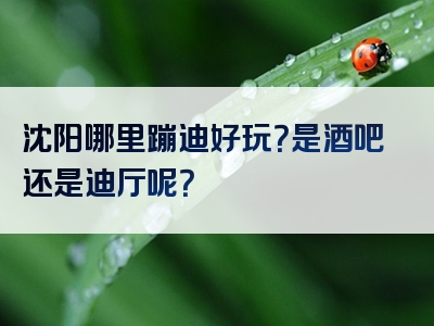 沈阳哪里蹦迪好玩？是酒吧还是迪厅呢？