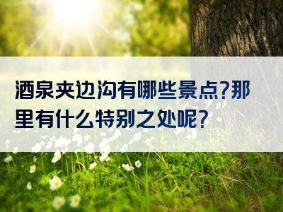 酒泉夹边沟有哪些景点？那里有什么特别之处呢？