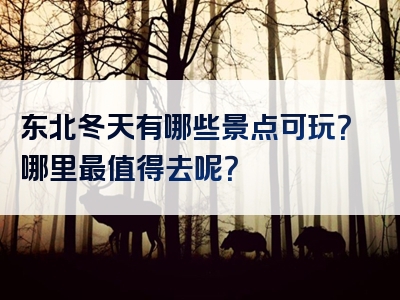 东北冬天有哪些景点可玩？哪里最值得去呢？