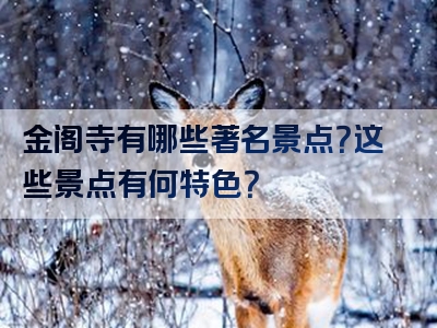 金阁寺有哪些著名景点？这些景点有何特色？