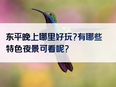 东平晚上哪里好玩？有哪些特色夜景可看呢？