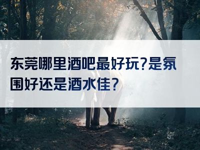 东莞哪里酒吧最好玩？是氛围好还是酒水佳？