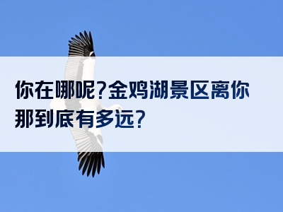 你在哪呢？金鸡湖景区离你那到底有多远？
