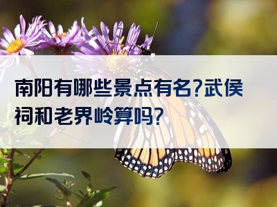 南阳有哪些景点有名？武侯祠和老界岭算吗？