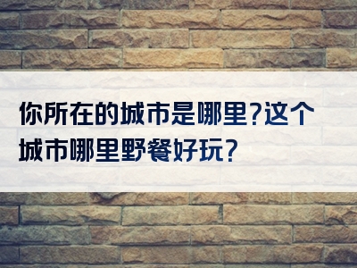 你所在的城市是哪里？这个城市哪里野餐好玩？