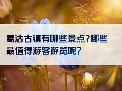 葛沽古镇有哪些景点？哪些最值得游客游览呢？