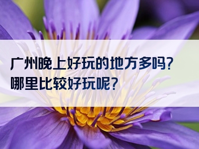 广州晚上好玩的地方多吗？哪里比较好玩呢？
