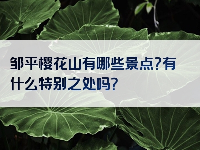 邹平樱花山有哪些景点？有什么特别之处吗？