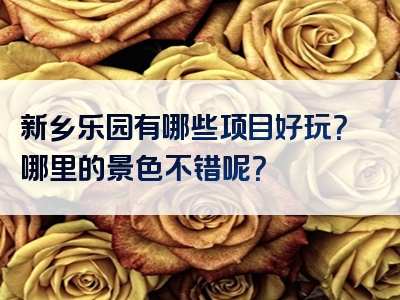 新乡乐园有哪些项目好玩？哪里的景色不错呢？