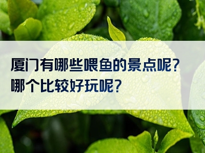 厦门有哪些喂鱼的景点呢？哪个比较好玩呢？