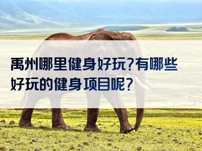 禹州哪里健身好玩？有哪些好玩的健身项目呢？