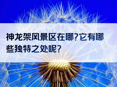 神龙架风景区在哪？它有哪些独特之处呢？