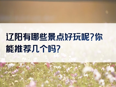 辽阳有哪些景点好玩呢？你能推荐几个吗？