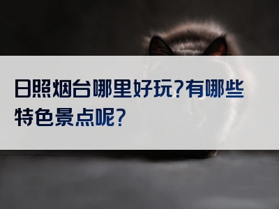 日照烟台哪里好玩？有哪些特色景点呢？