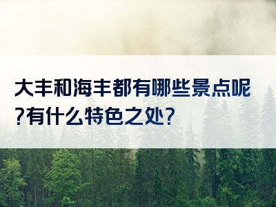 大丰和海丰都有哪些景点呢？有什么特色之处？