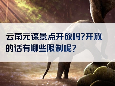 云南元谋景点开放吗？开放的话有哪些限制呢？