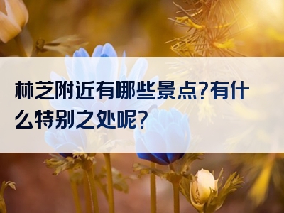林芝附近有哪些景点？有什么特别之处呢？