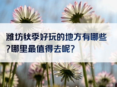 潍坊秋季好玩的地方有哪些？哪里最值得去呢？