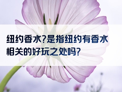 纽约香水？是指纽约有香水相关的好玩之处吗？