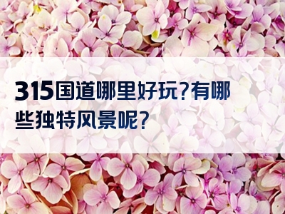 315国道哪里好玩？有哪些独特风景呢？