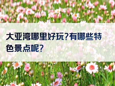大亚湾哪里好玩？有哪些特色景点呢？