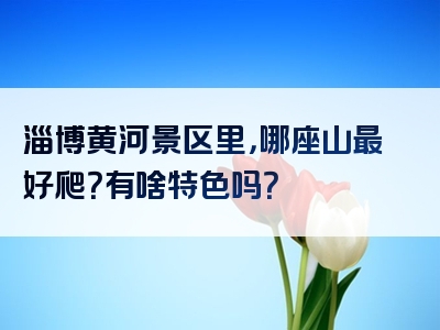 淄博黄河景区里，哪座山最好爬？有啥特色吗？