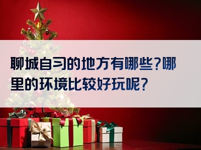 聊城自习的地方有哪些？哪里的环境比较好玩呢？