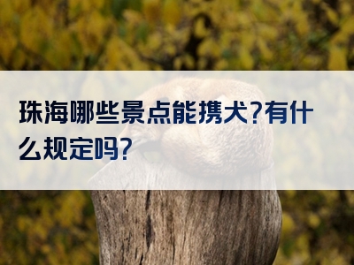 珠海哪些景点能携犬？有什么规定吗？