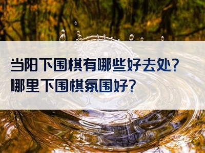 当阳下围棋有哪些好去处？哪里下围棋氛围好？