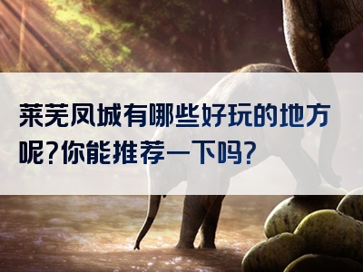 莱芜凤城有哪些好玩的地方呢？你能推荐一下吗？