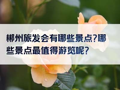 郴州旅发会有哪些景点？哪些景点最值得游览呢？