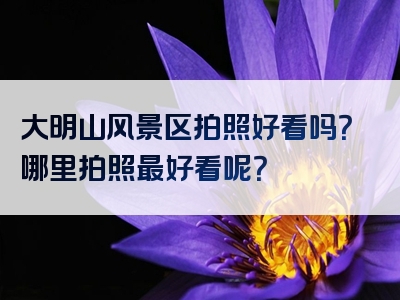 大明山风景区拍照好看吗？哪里拍照最好看呢？