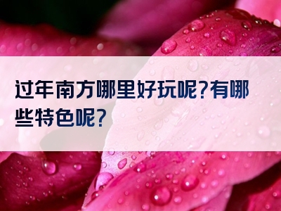 过年南方哪里好玩呢？有哪些特色呢？
