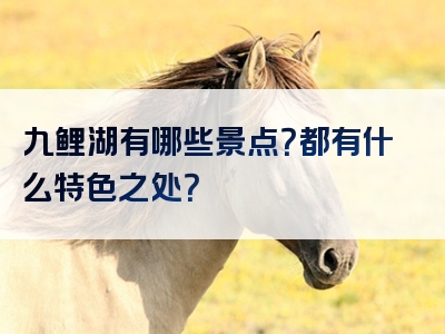 九鲤湖有哪些景点？都有什么特色之处？