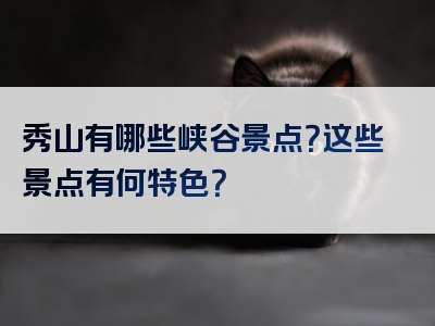 秀山有哪些峡谷景点？这些景点有何特色？