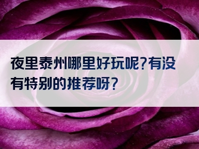 夜里泰州哪里好玩呢？有没有特别的推荐呀？
