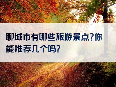 聊城市有哪些旅游景点？你能推荐几个吗？