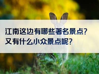 江南这边有哪些著名景点？又有什么小众景点呢？