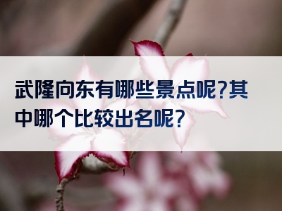 武隆向东有哪些景点呢？其中哪个比较出名呢？