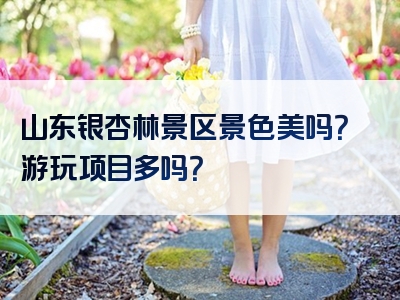 山东银杏林景区景色美吗？游玩项目多吗？