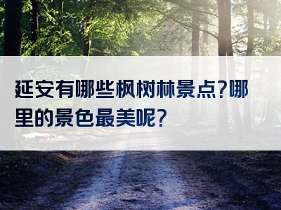 延安有哪些枫树林景点？哪里的景色最美呢？